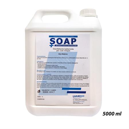 LH SOAP SAPONE LIQUIDO DISINFETTANTE  5 LT